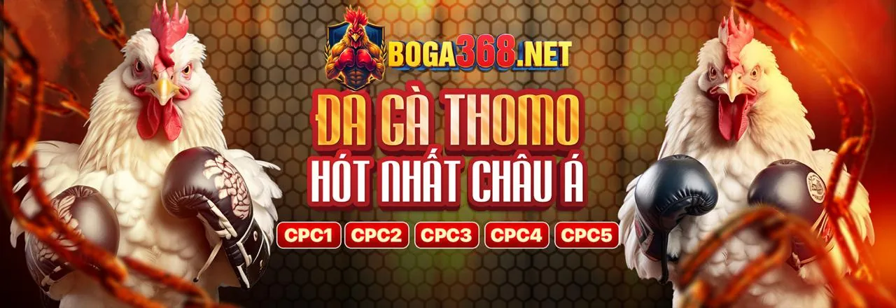 Khuyến mãi đá gà BI88 Web