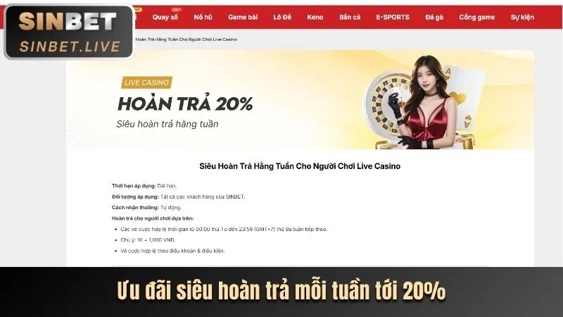 Chương trình VIP độc quyền BI88 Web
